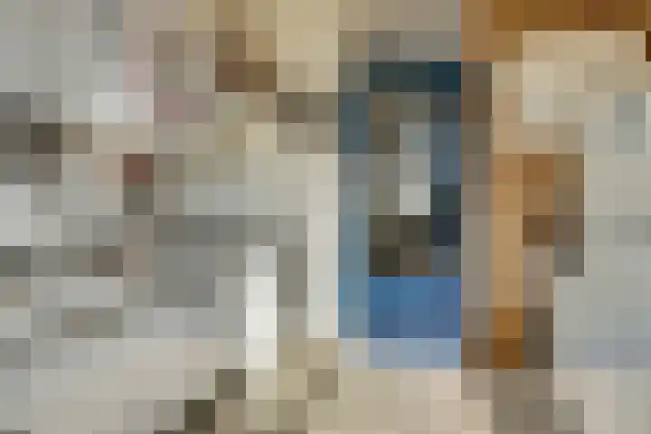 Vogelplantsoen 71 Dieren thumbnail 12