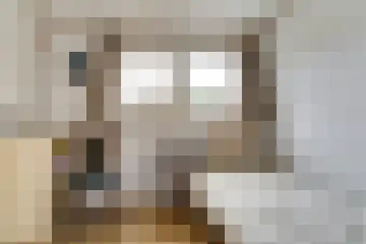 Vogelplantsoen 71 Dieren thumbnail 20