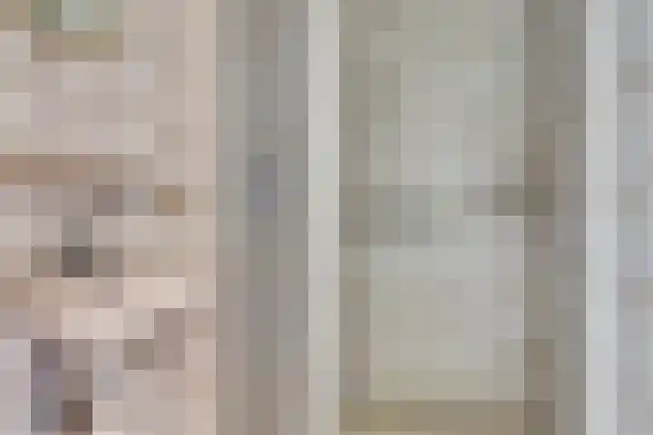 Vogelplantsoen 71 Dieren thumbnail 22