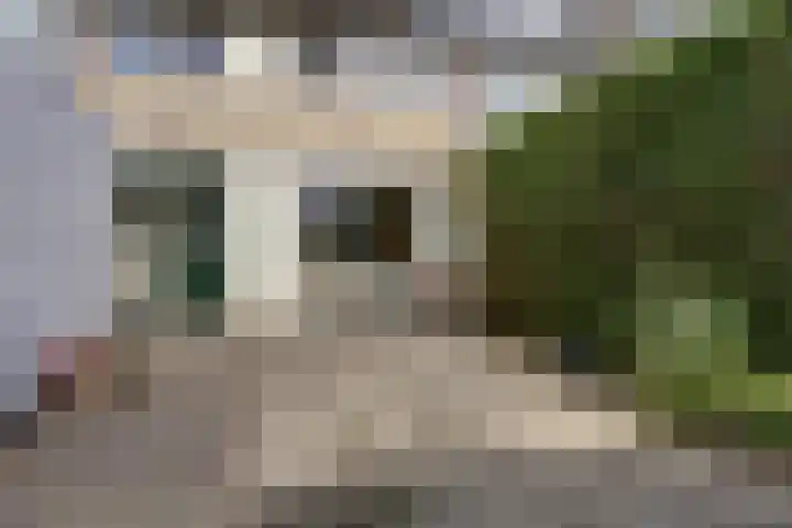 Vogelplantsoen 71 Dieren thumbnail 25