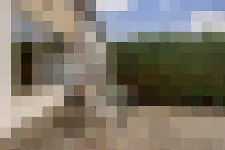 Vogelplantsoen 71 Dieren thumbnail 26