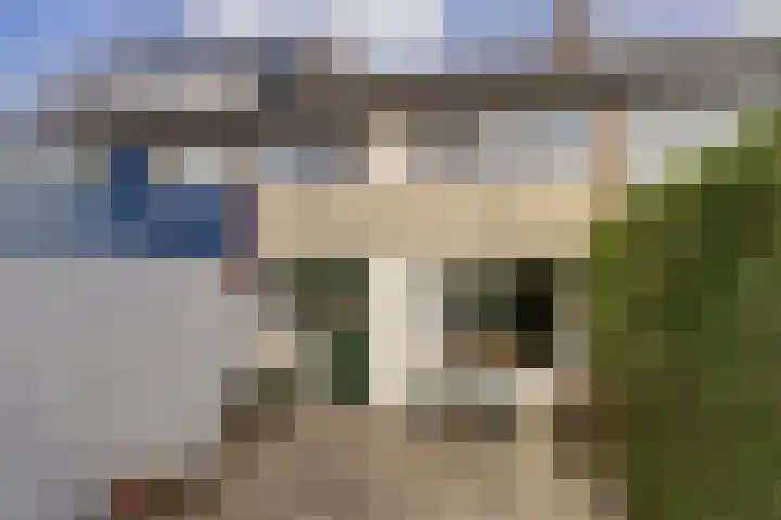 Vogelplantsoen 71 Dieren thumbnail 27