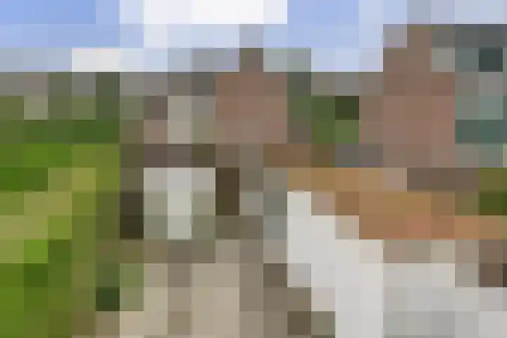 Vogelplantsoen 71 Dieren thumbnail 28