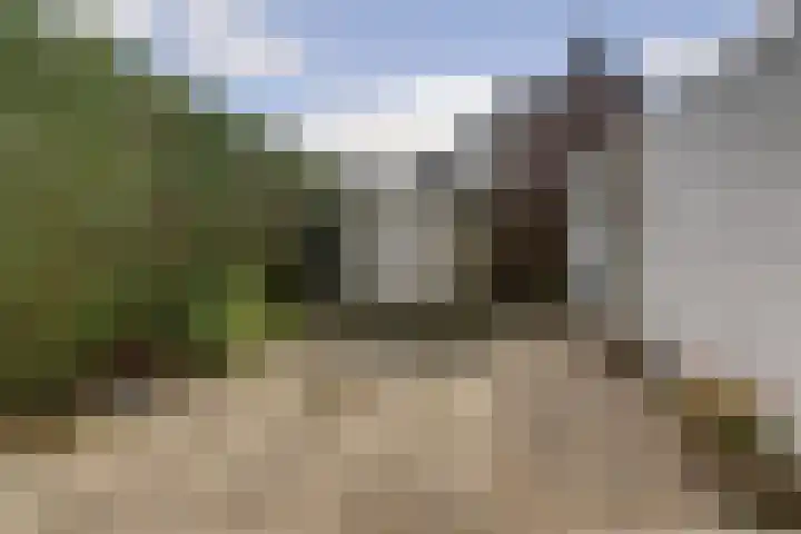 Vogelplantsoen 71 Dieren thumbnail 29