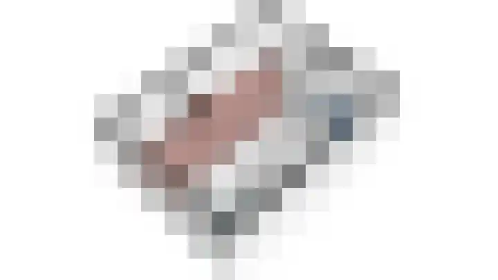 Vogelplantsoen 71 Dieren thumbnail 32