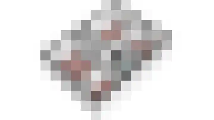 Vogelplantsoen 71 Dieren thumbnail 34
