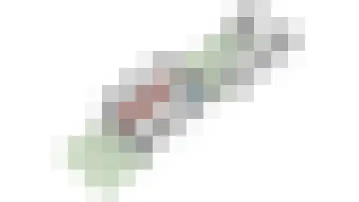 Vogelplantsoen 71 Dieren thumbnail 38