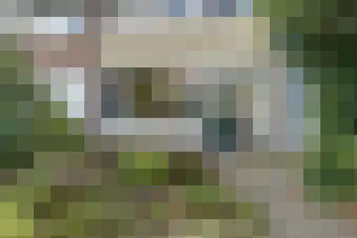 Vogelplantsoen 71 Dieren thumbnail 4
