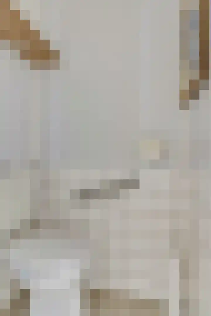 Vogelplantsoen 71 Dieren thumbnail 6