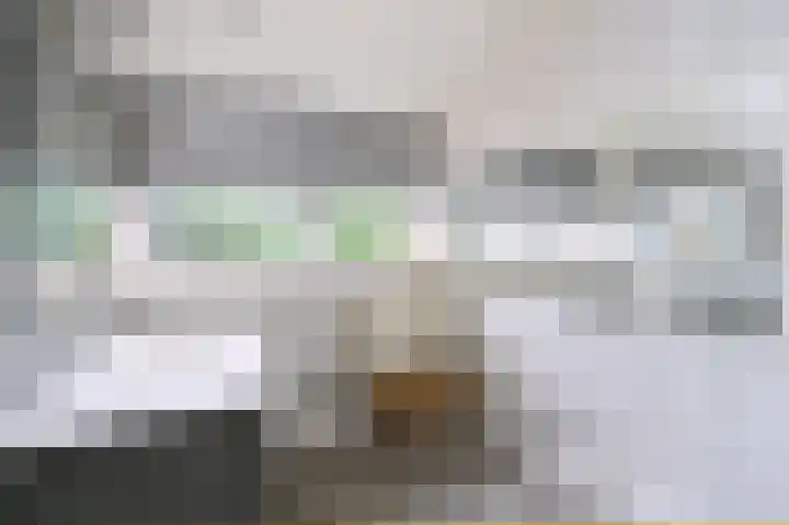 Vogelplantsoen 77 Dieren thumbnail 12