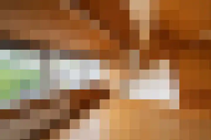 Vogelplantsoen 77 Dieren thumbnail 17