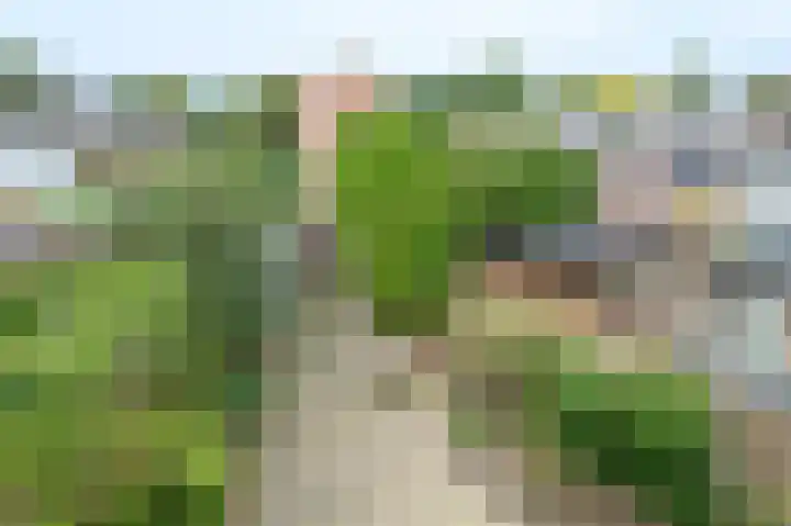 Vogelplantsoen 77 Dieren thumbnail 19
