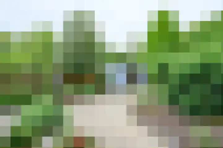 Vogelplantsoen 77 Dieren thumbnail 21