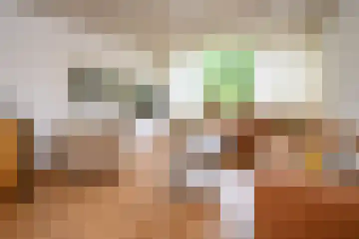 Vogelplantsoen 77 Dieren thumbnail 4