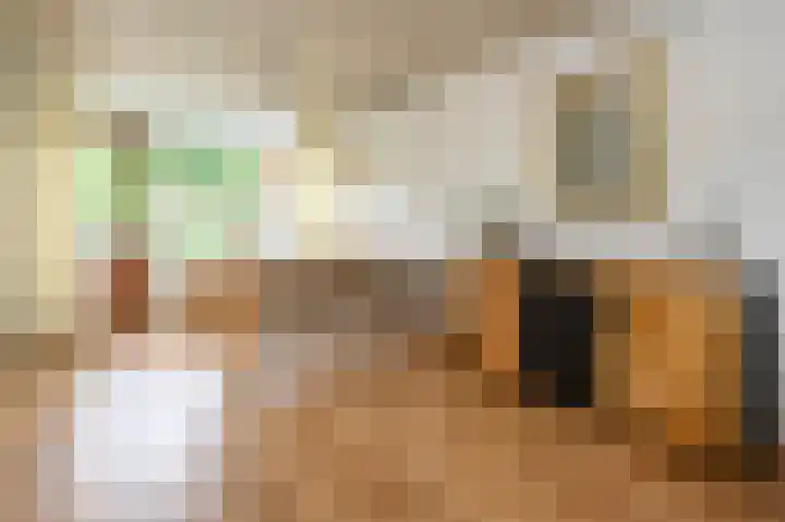 Vogelplantsoen 77 Dieren thumbnail 7