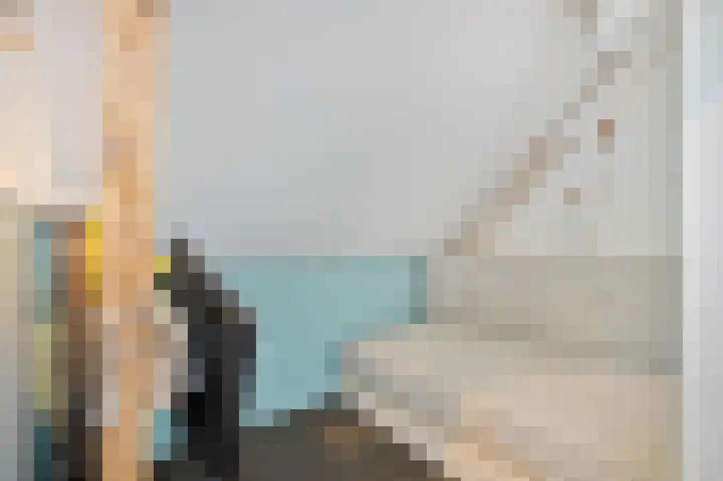 Vogelplantsoen 8 Amsterdam thumbnail 13