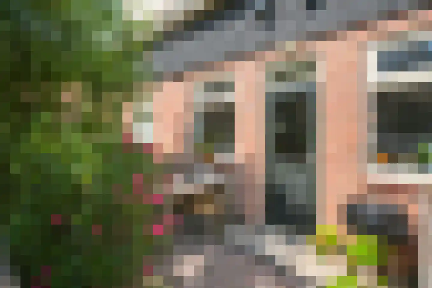 Vogelplantsoen 8 Amsterdam thumbnail 21