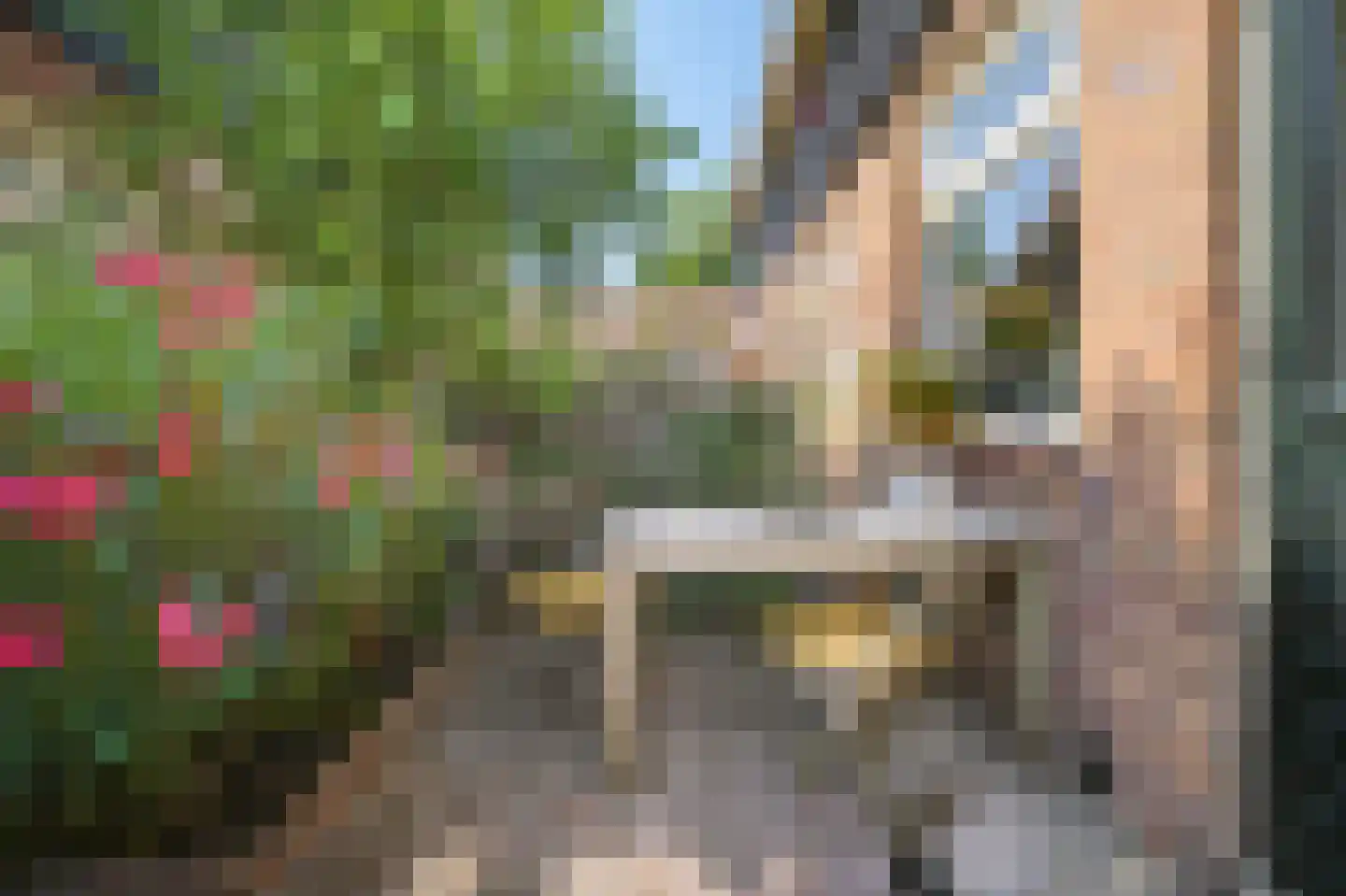 Vogelplantsoen 8 Amsterdam thumbnail 6