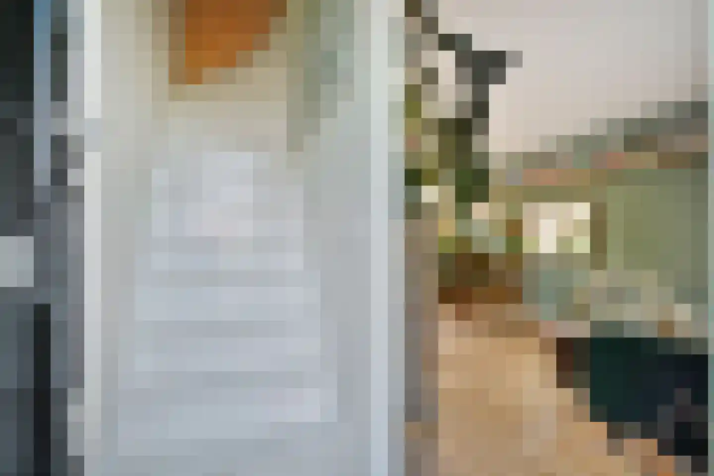 Vogelplantsoen 8 Amsterdam thumbnail 9