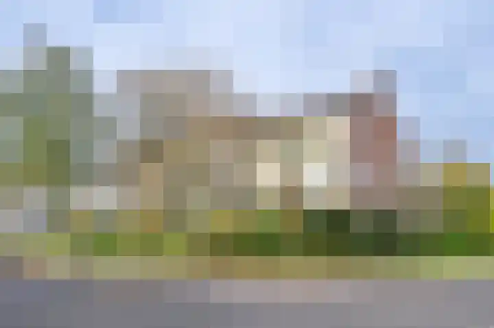 Vogelplantsoen 9 Dieren
