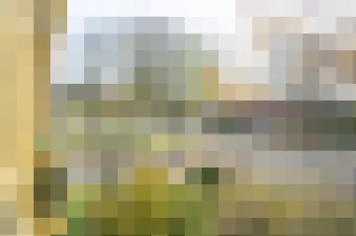 Vogelplantsoen 9 Dieren thumbnail 14