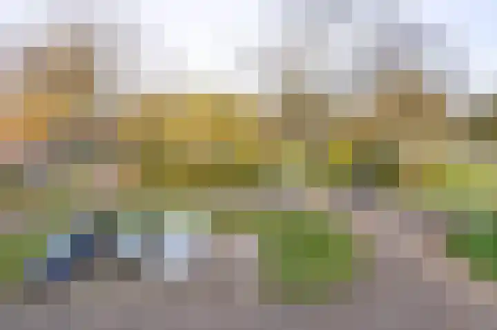 Vogelplantsoen 9 Dieren thumbnail 17