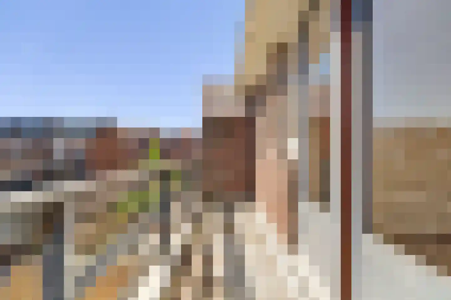 Vogelplein 12 Gouda thumbnail 4