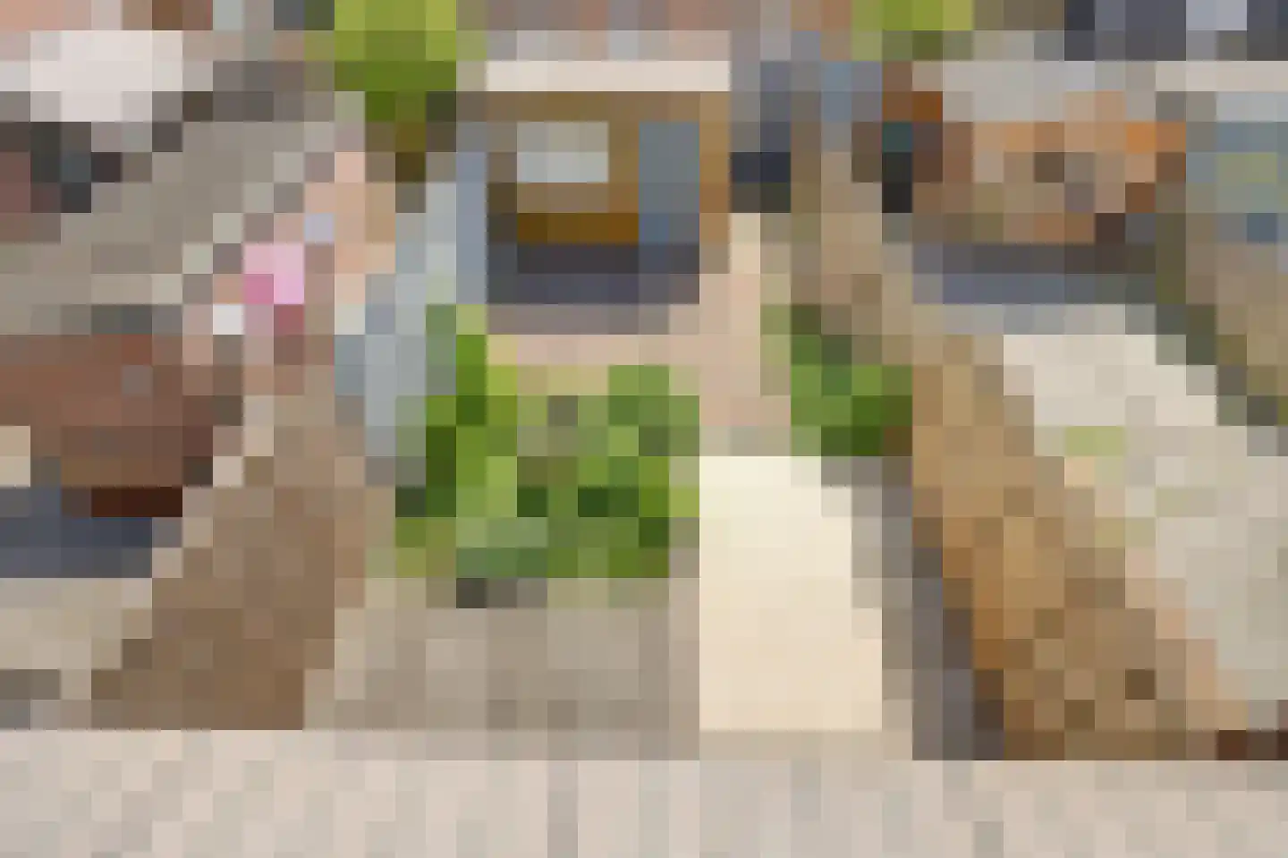 Vogelplein 12 Gouda thumbnail 5