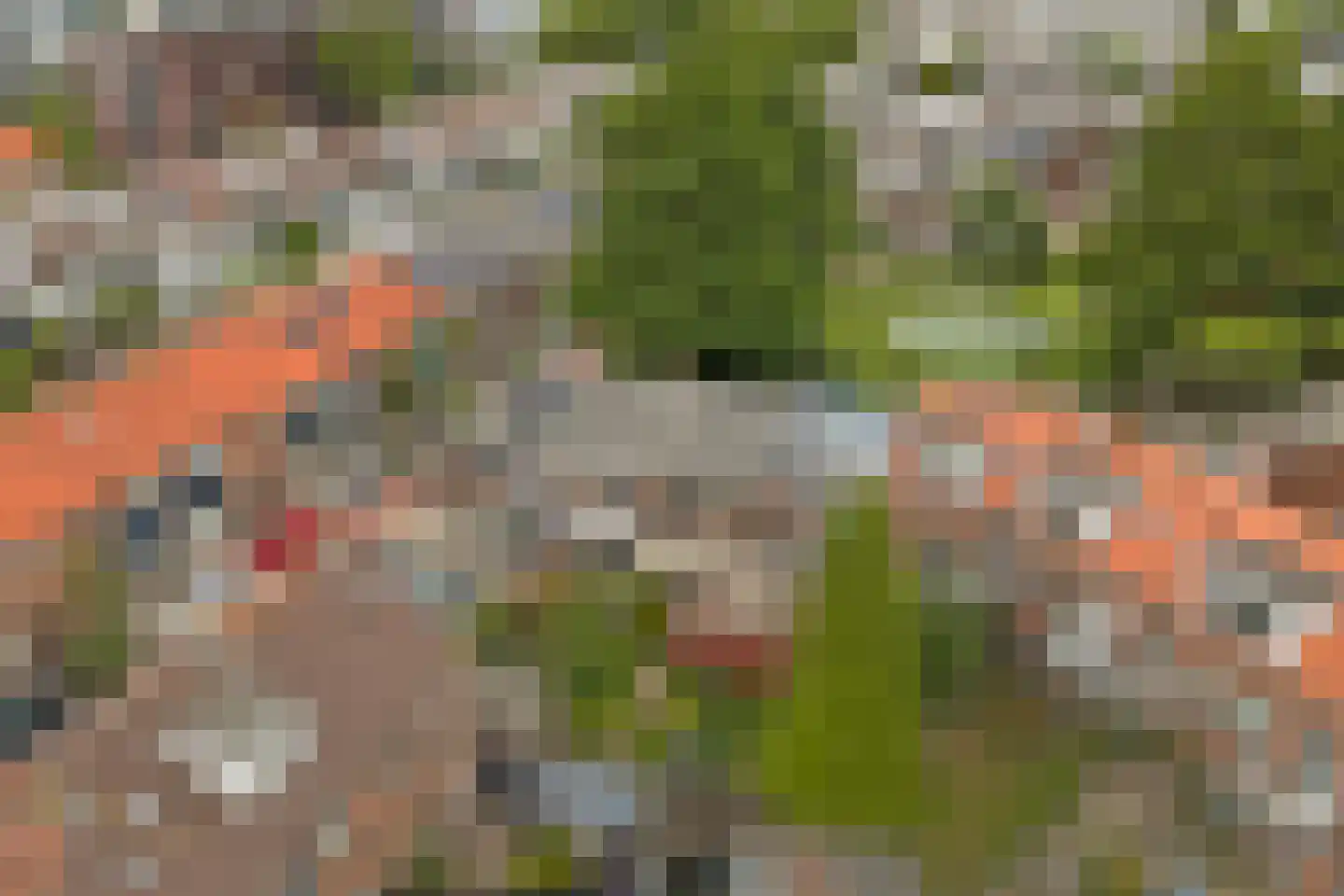 Vogelplein 22 Gouda thumbnail 37