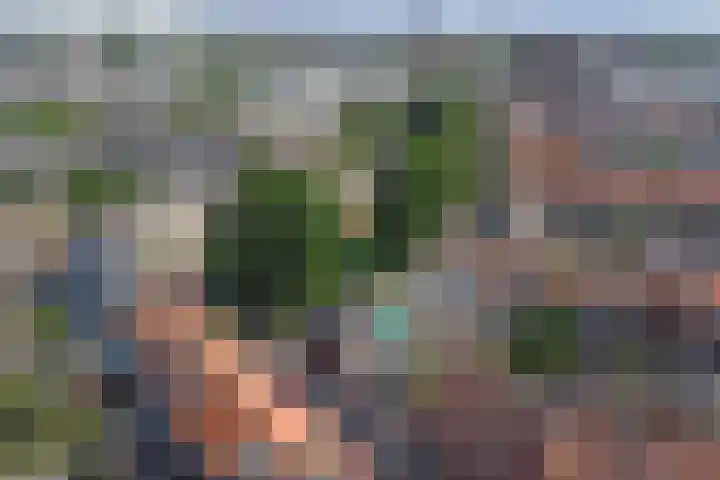 Vogelplein 24 Gouda thumbnail 33