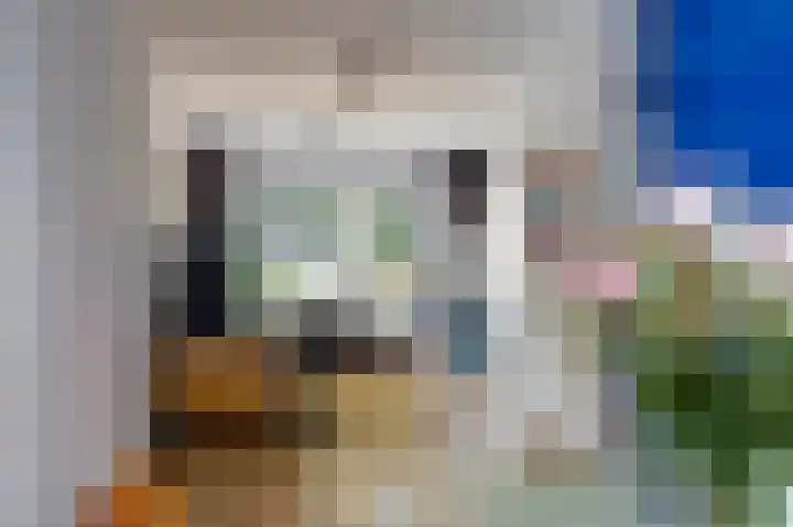 Vogelplein 24 Gouda thumbnail 9