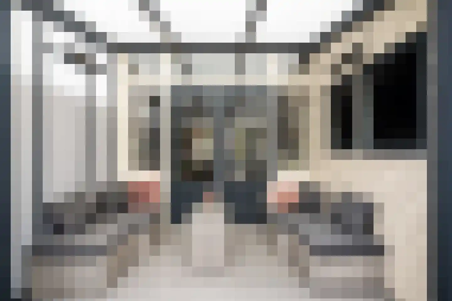 Vogelplein 27 Gouda thumbnail 24