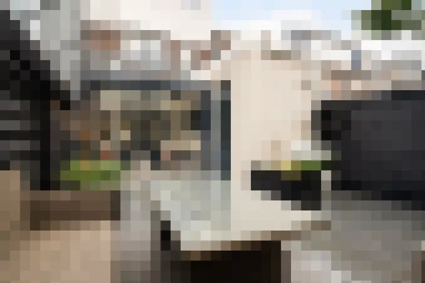 Vogelplein 27 Gouda thumbnail 27