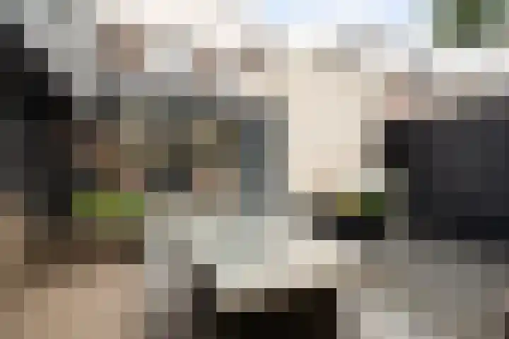 Vogelplein 27 Gouda thumbnail 27