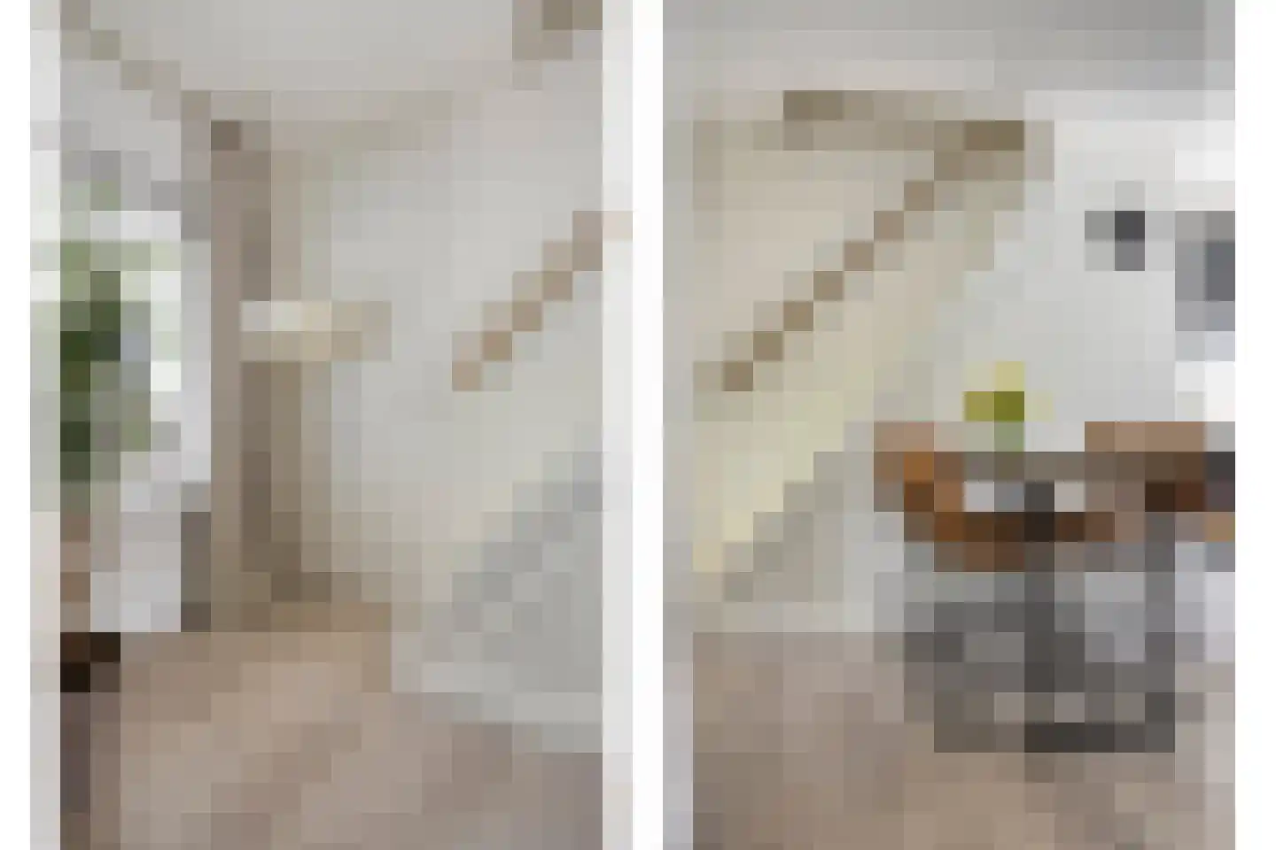 Vogelplein 3 Tilburg thumbnail 16