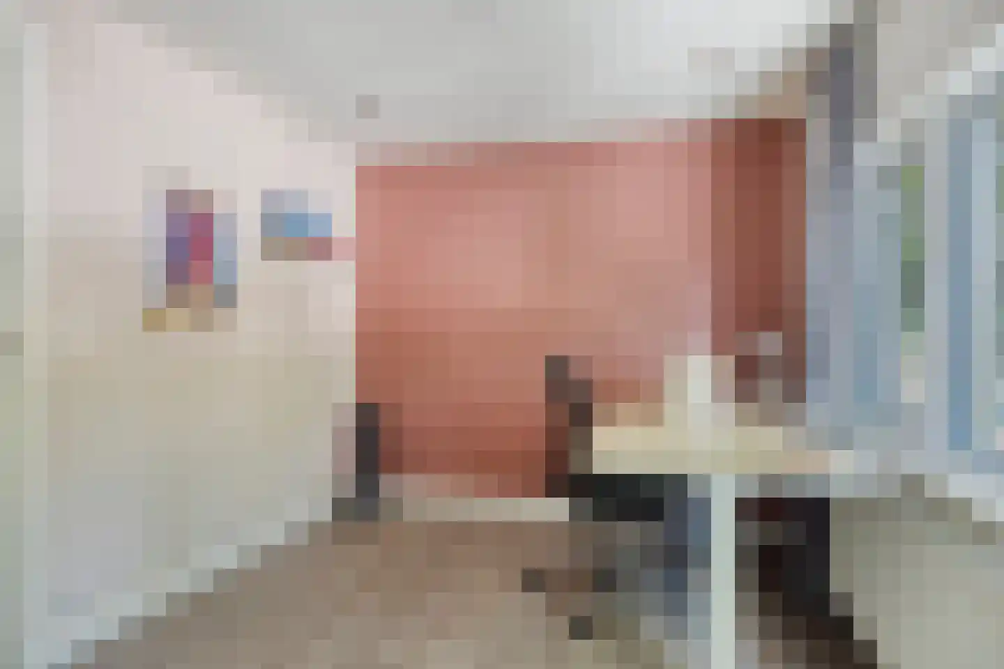 Vogelplein 3 Tilburg thumbnail 32