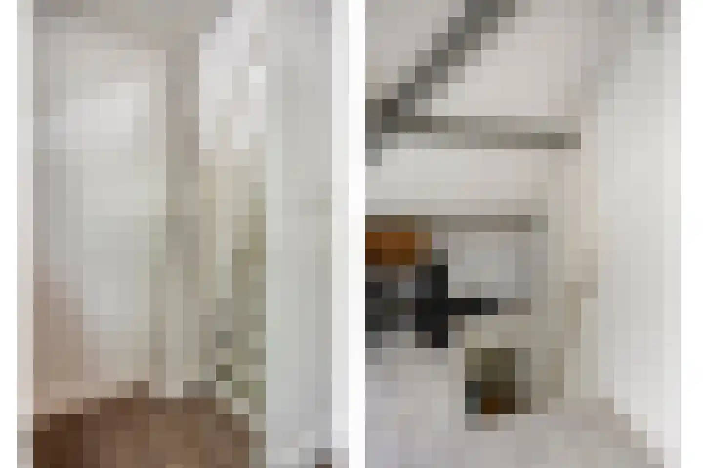 Vogelplein 3 Tilburg thumbnail 34
