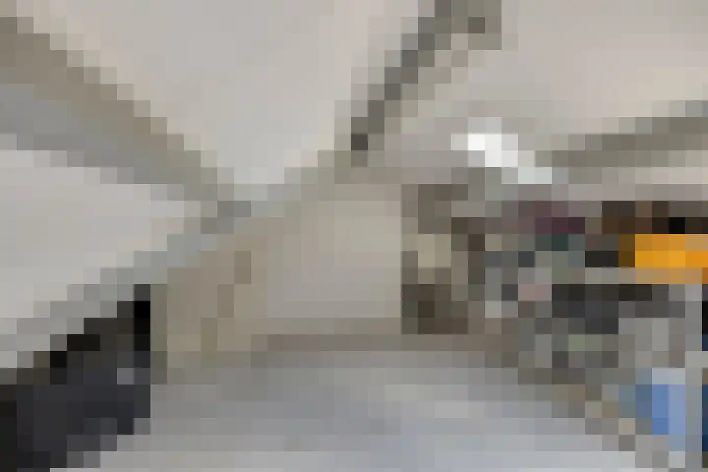Vogelplein 3 Tilburg thumbnail 35