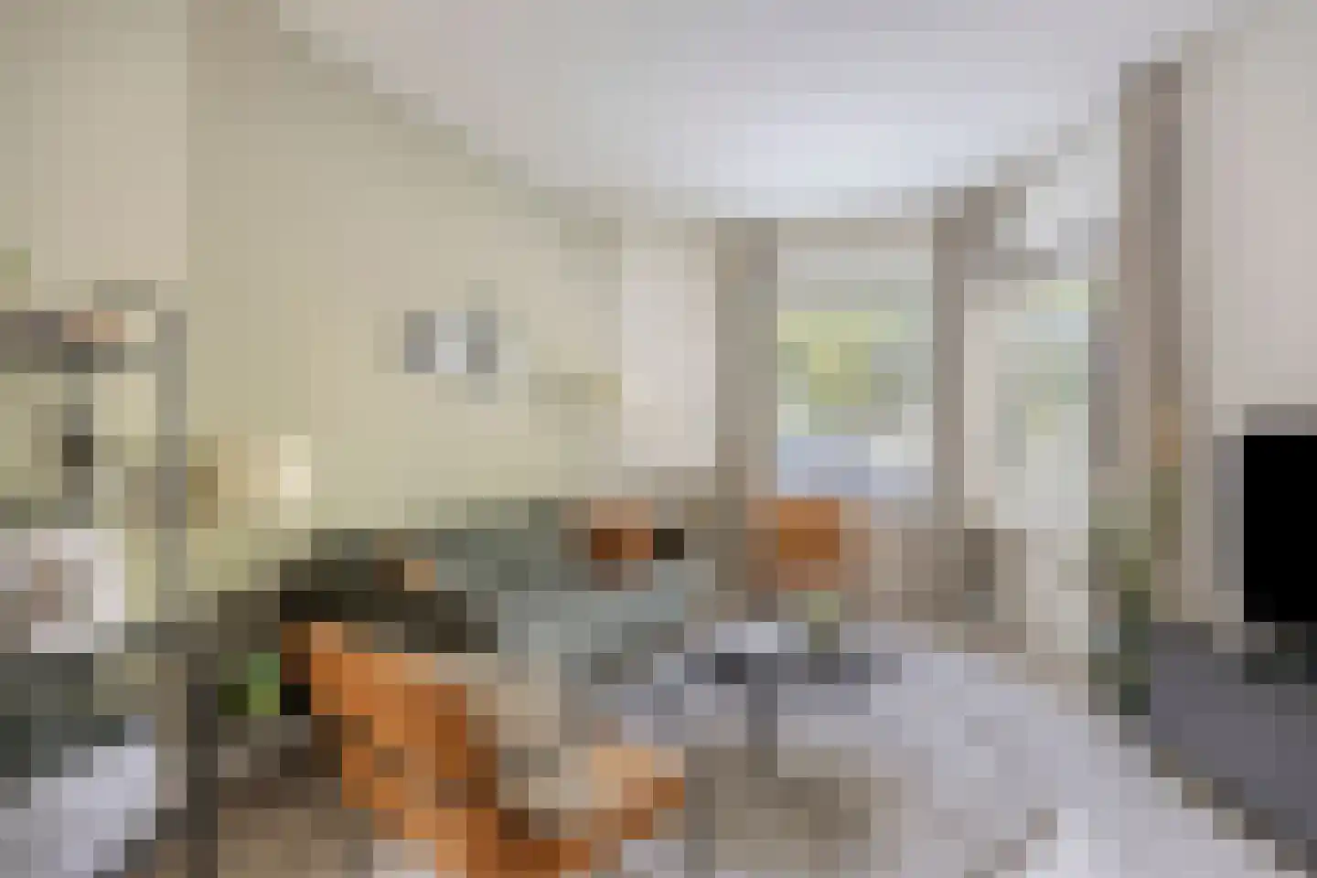 Vogelplein 3 Tilburg thumbnail 5