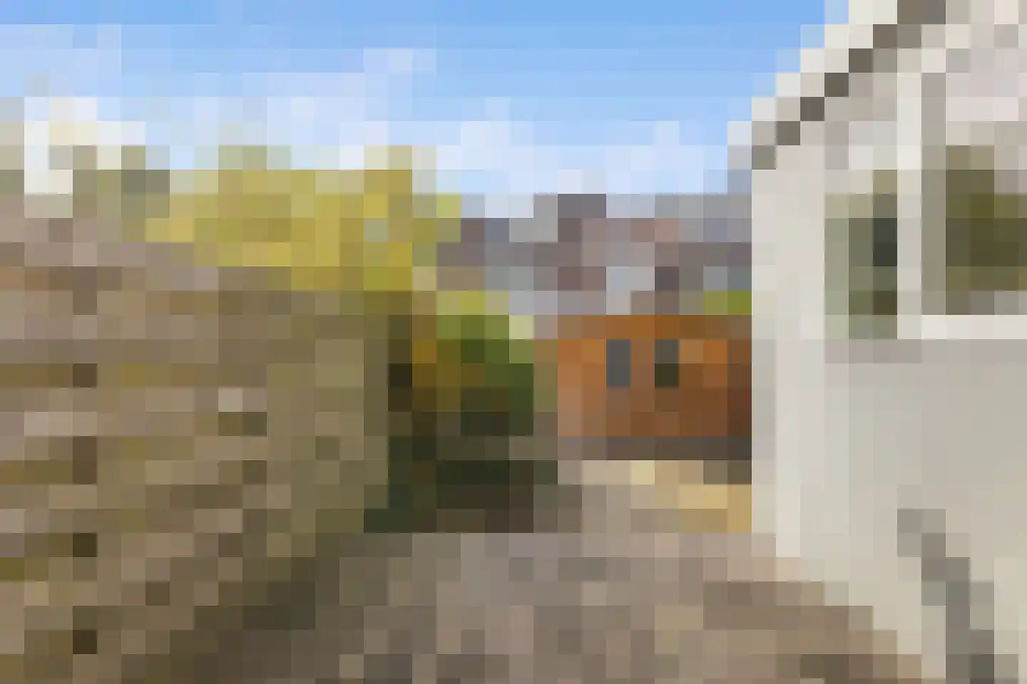 Vogelplein 30 Gouda thumbnail 30
