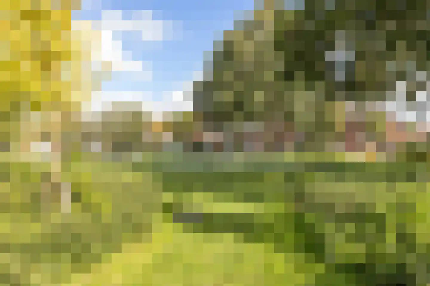 Vogelplein 30 Gouda thumbnail 38