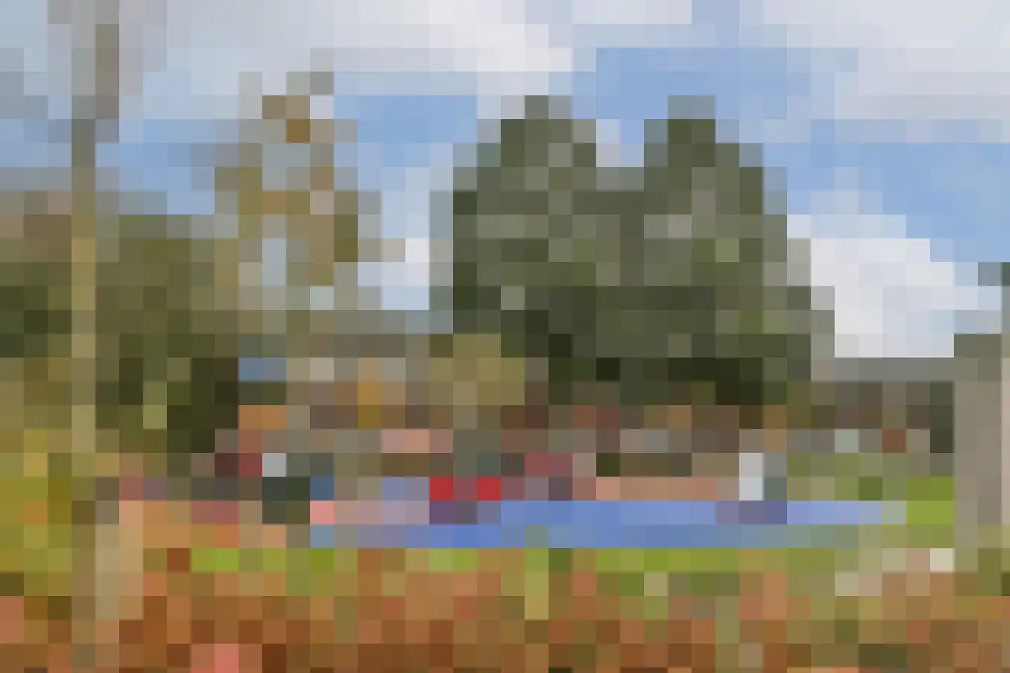 Vogelplein 43 Gouda thumbnail 34