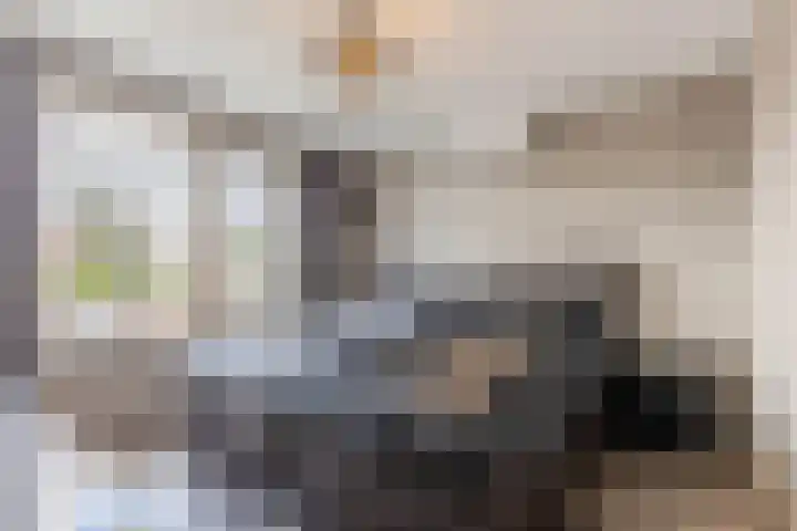 Vogelpoelstraat 11 Geldrop thumbnail 20
