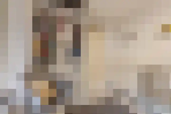 Vogelpoelstraat 11 Geldrop thumbnail 21