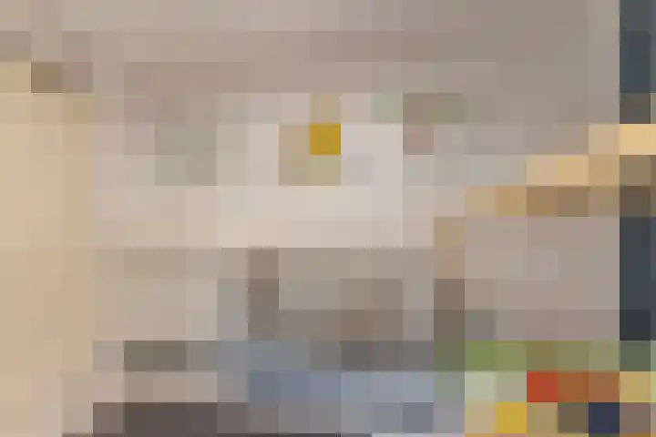 Vogelpoelstraat 11 Geldrop thumbnail 22