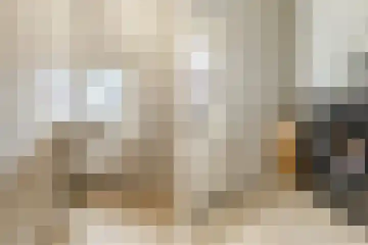 Vogelpoelstraat 11 Geldrop thumbnail 24