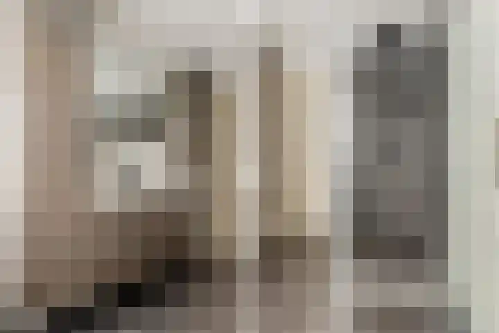Vogelpoelstraat 11 Geldrop thumbnail 27