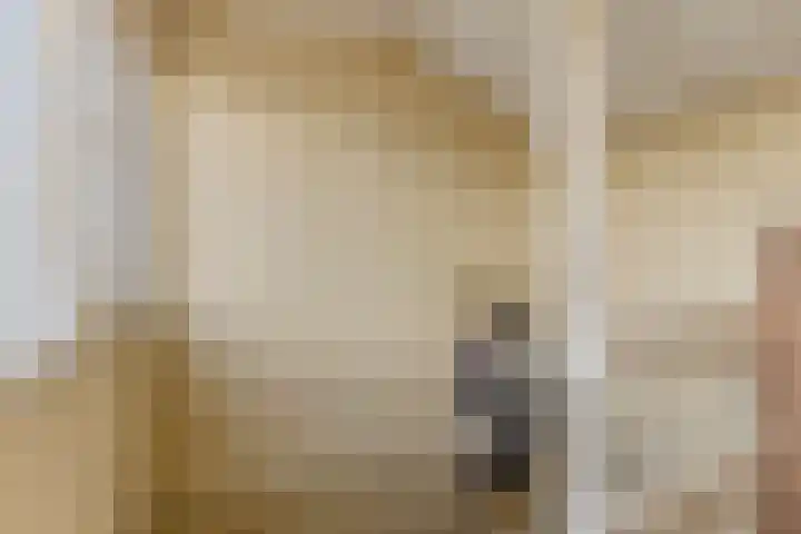 Vogelpoelstraat 11 Geldrop thumbnail 28