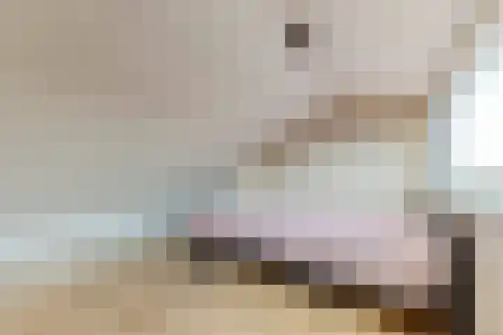 Vogelpoelstraat 11 Geldrop thumbnail 30
