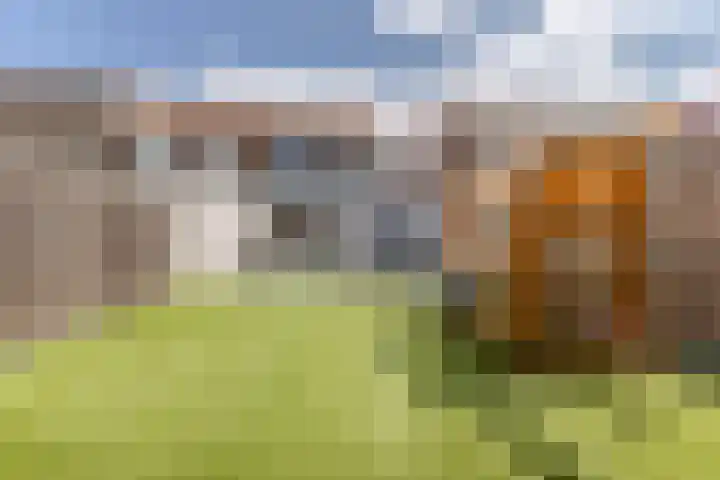Vogelpoelstraat 11 Geldrop thumbnail 31